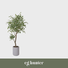 CG Hunter Artificial Ficus Tree with Artisan Planter