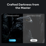 Aetherion Pro Man Cave Cinema Bundle