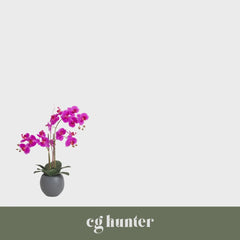 CG Hunter Artificial Pink Double Stem Orchid