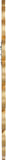 Shell Glass Contemporary Mirror - Stunning 32" Gold Framed Accent with Shell Details for Any Room