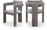 Brenda Chenille Fabric Upholstered Dining Chair (Set of 2)