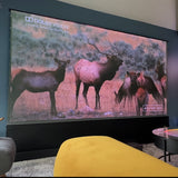 100''-130'' AWOL Vision Cinematic+ ALR Motorized Floor Rising Acoustic Screen