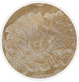 Rome - Sheer Curtain Panel - Light Gold