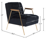 Woodford Modern Accent Chair with Channel Tufted Design, Wood Arms & Gold Legs for Stylish Living Spaces
