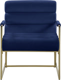 Wayne Velvet Accent Chair with Gold Iron Frame and Deep Channel Tufting for Contemporary Comfort