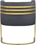 Rays Luxe Velvet Accent Chair with Brushed Gold Legs - Stylish Contemporary Seating for Any Room
