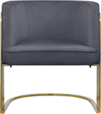 Rays Luxe Velvet Accent Chair with Brushed Gold Legs - Stylish Contemporary Seating for Any Room