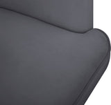 Rays Luxe Velvet Accent Chair with Brushed Gold Legs - Stylish Contemporary Seating for Any Room