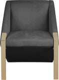 Rivet Elegant Velvet Accent Chair with Gold Steel Legs – Contemporary Style for Stunning Spaces