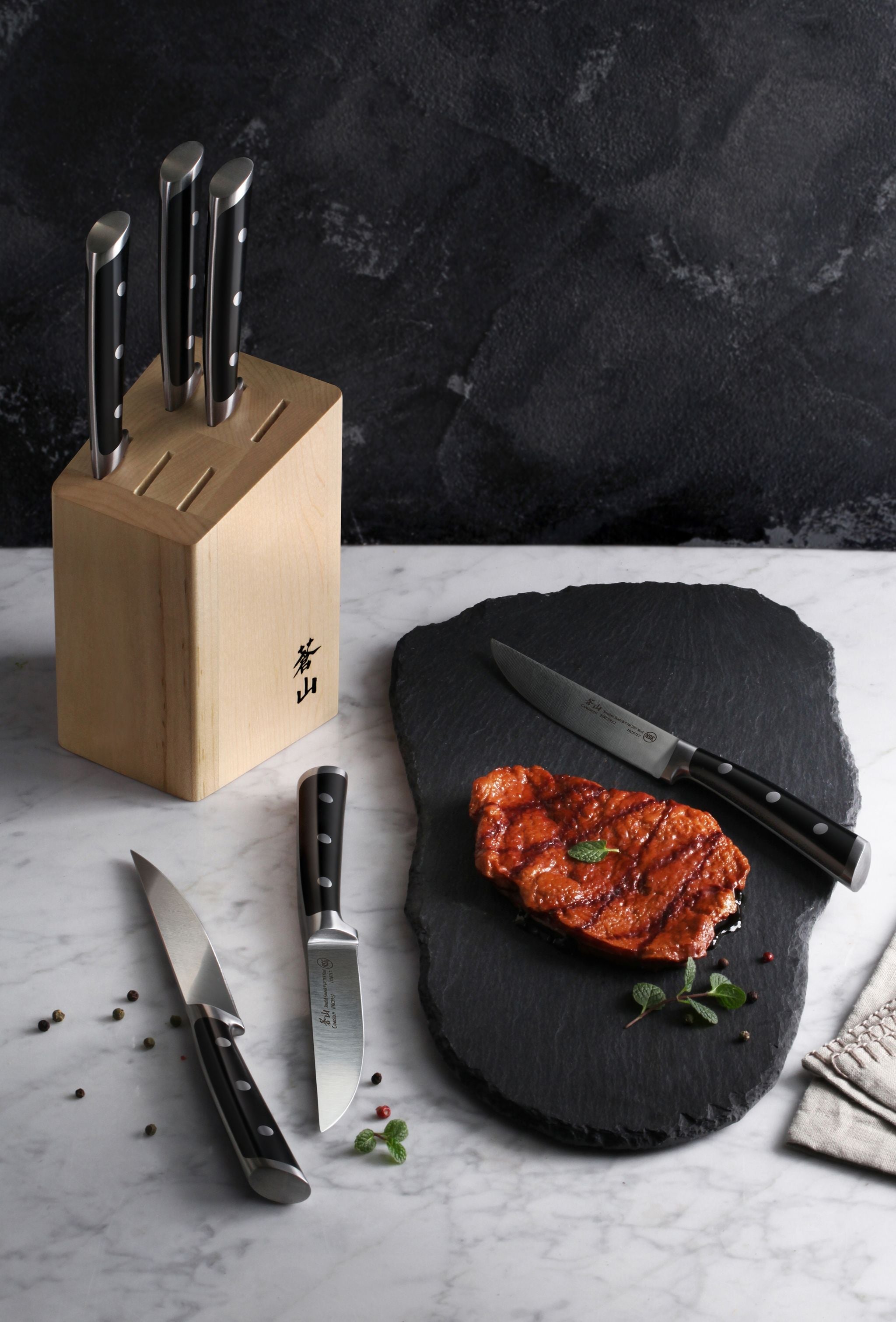 TS Series 6-Piece Knife Block Set, Forged Swedish 14C28N Steel