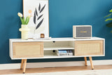 ARLO 55" TV Stand