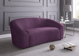 Riley Contemporary Loveseat in Soft Velvet - Modern Design for Stylish Living Rooms & Comfort
