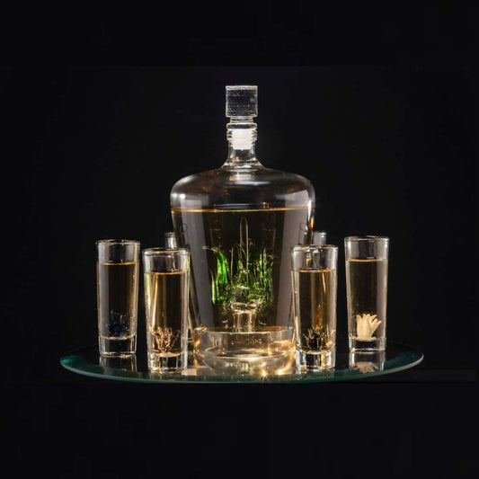 Tequila Decanter Set With Agave Decanter and 6 Agave Shot Glasses