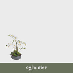 CG Hunter Artificial Orchid with Succulents