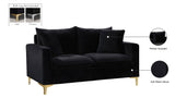Naomi Contemporary Loveseat with Plush Velvet Comfort and Customizable Gold & Chrome Legs for Style