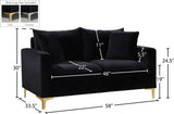 Naomi Contemporary Loveseat with Plush Velvet Comfort and Customizable Gold & Chrome Legs for Style