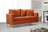 Naomi Contemporary Loveseat with Plush Velvet Comfort and Customizable Gold & Chrome Legs for Style