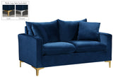 Naomi Contemporary Loveseat with Plush Velvet Comfort and Customizable Gold & Chrome Legs for Style