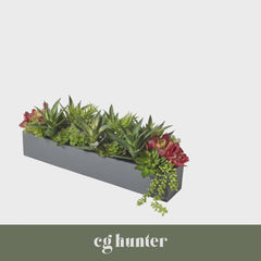 CG Hunter Artificial Succulent Arrangement - Rectangle