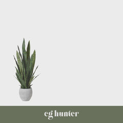 CG Hunter Artificial Snake Plant with Artisan Planter