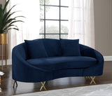 Serpentine Velvet Loveseat - Stylish Contemporary Design with Plush Comfort and Elegant Gold Legs
