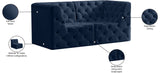 Tuft Contemporary Modular Sofa with Deep Button Tufting - Stylish, Versatile and Comfortable Design