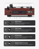 Angels Horn AH6 Turntable HiFi System - Premium Record Player with Speaker