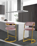 Stephanie Velvet Counter Stool Set - Luxurious Plush Design with Elegant Gold Metal Frame