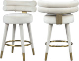 Fitzroy Velvet Counter Stool Set - Sophisticated Design with Upholstered Legs and Gold Accents