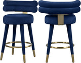 Fitzroy Velvet Counter Stool Set - Sophisticated Design with Upholstered Legs and Gold Accents