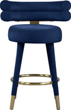 Fitzroy Velvet Counter Stool Set - Sophisticated Design with Upholstered Legs and Gold Accents