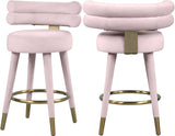 Fitzroy Velvet Counter Stool Set - Sophisticated Design with Upholstered Legs and Gold Accents
