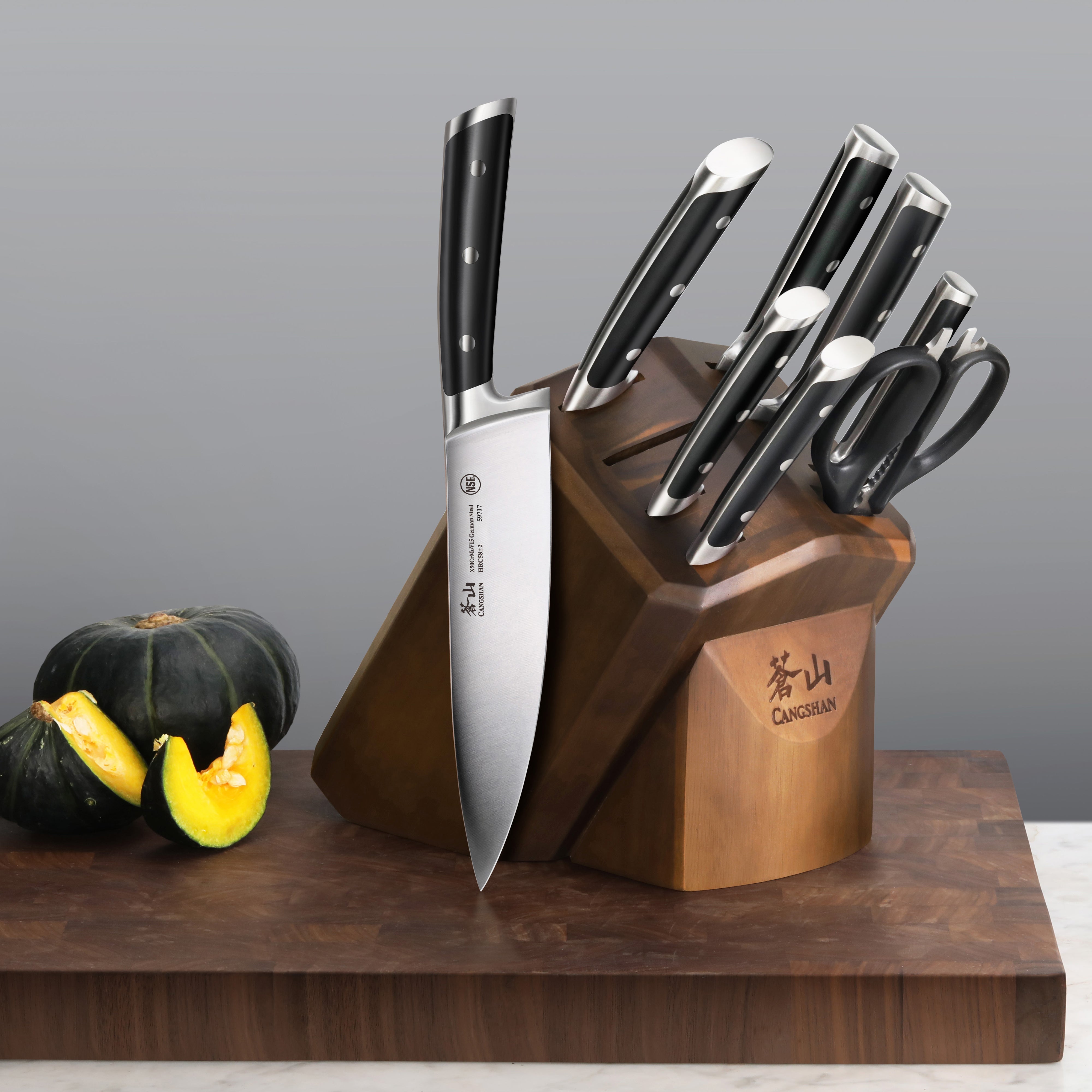 S Series 10-Piece Knife Block Set, Forged German Steel, 1026146