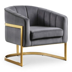 Carter Velvet Accent Chair