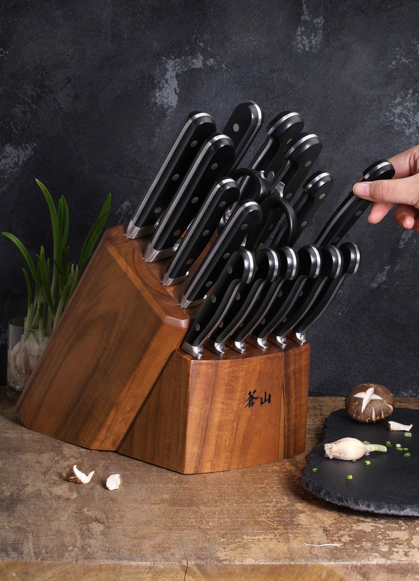 TV2 Series 17-Piece Knife Block Set, Forged Swedish 14C28N Steel, Acacia Block, 1023053