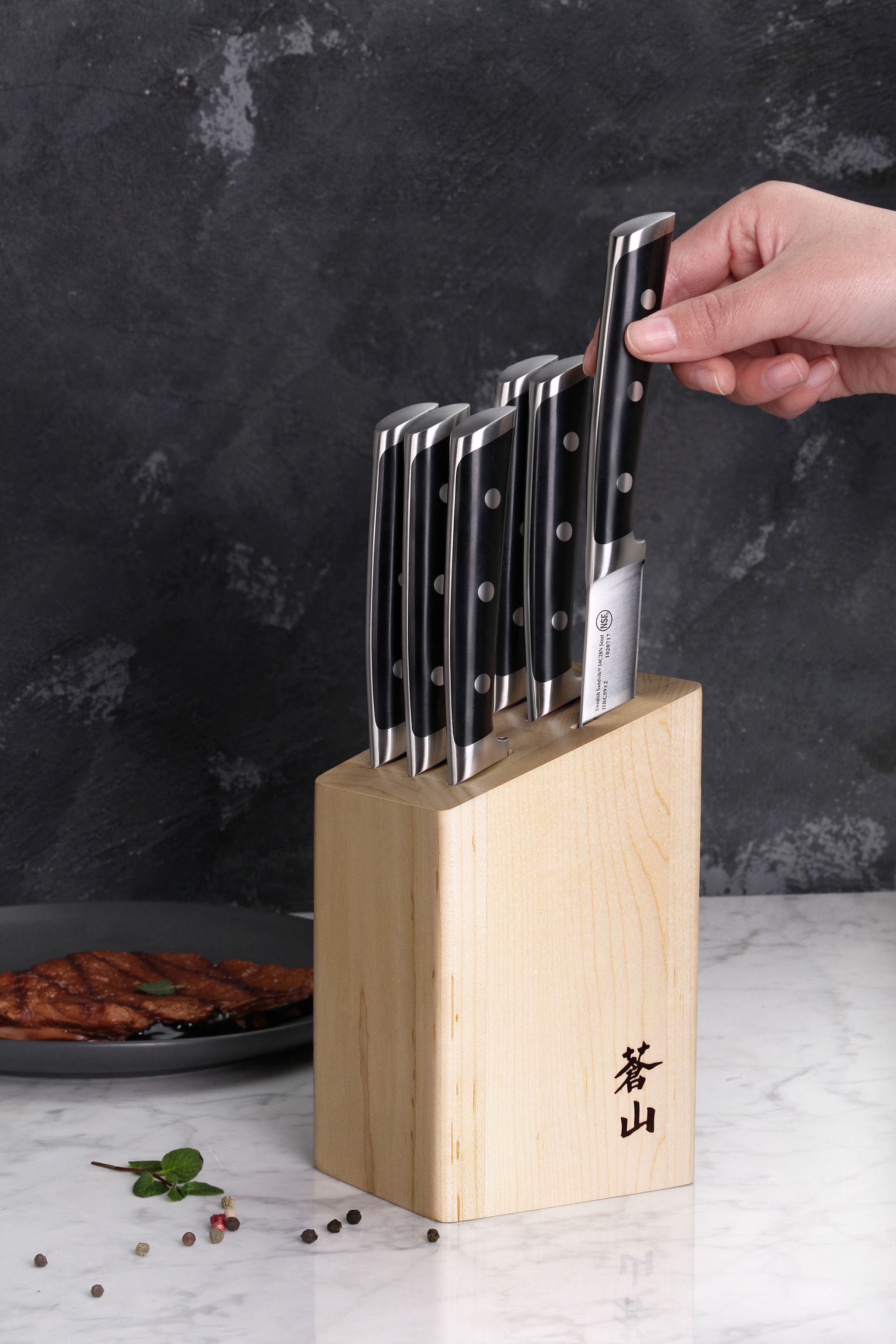 TS Series 6-Piece Knife Block Set, Forged Swedish 14C28N Steel