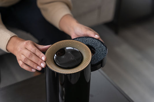 5 Pack Filter