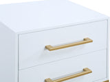 Maxine Contemporary Night Stand with Rich Black Finish and Stylish Brushed Gold Metal Accents