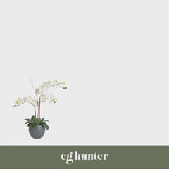 CG Hunter Artificial White Double Stem Orchid