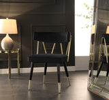 Rheingold Contemporary Dining Chair Set of 2 - Elegant Velvet Upholstery with Stylish Gold Accents