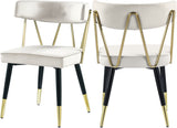Rheingold Contemporary Dining Chair Set of 2 - Elegant Velvet Upholstery with Stylish Gold Accents