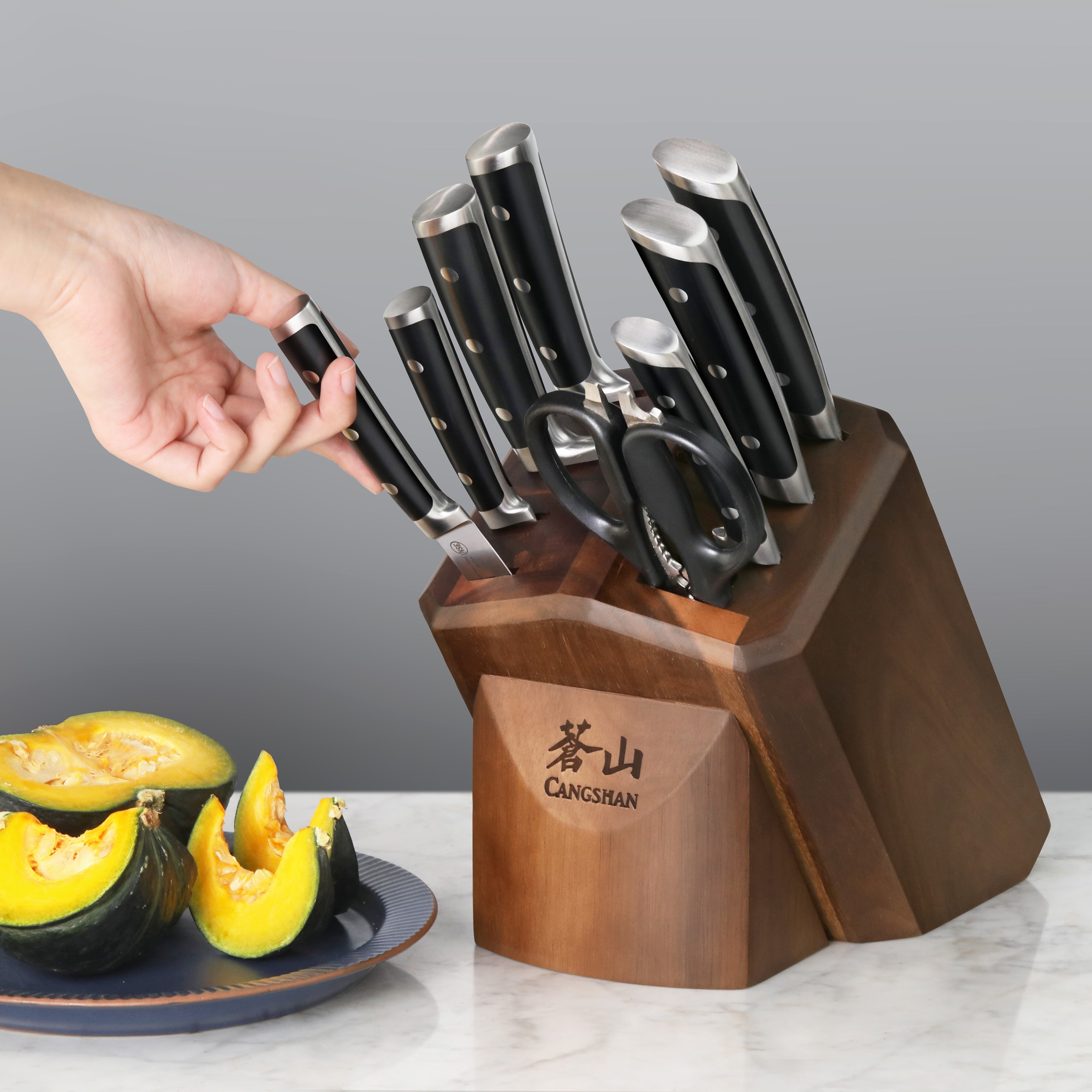 S Series 10-Piece Knife Block Set, Forged German Steel, 1026146