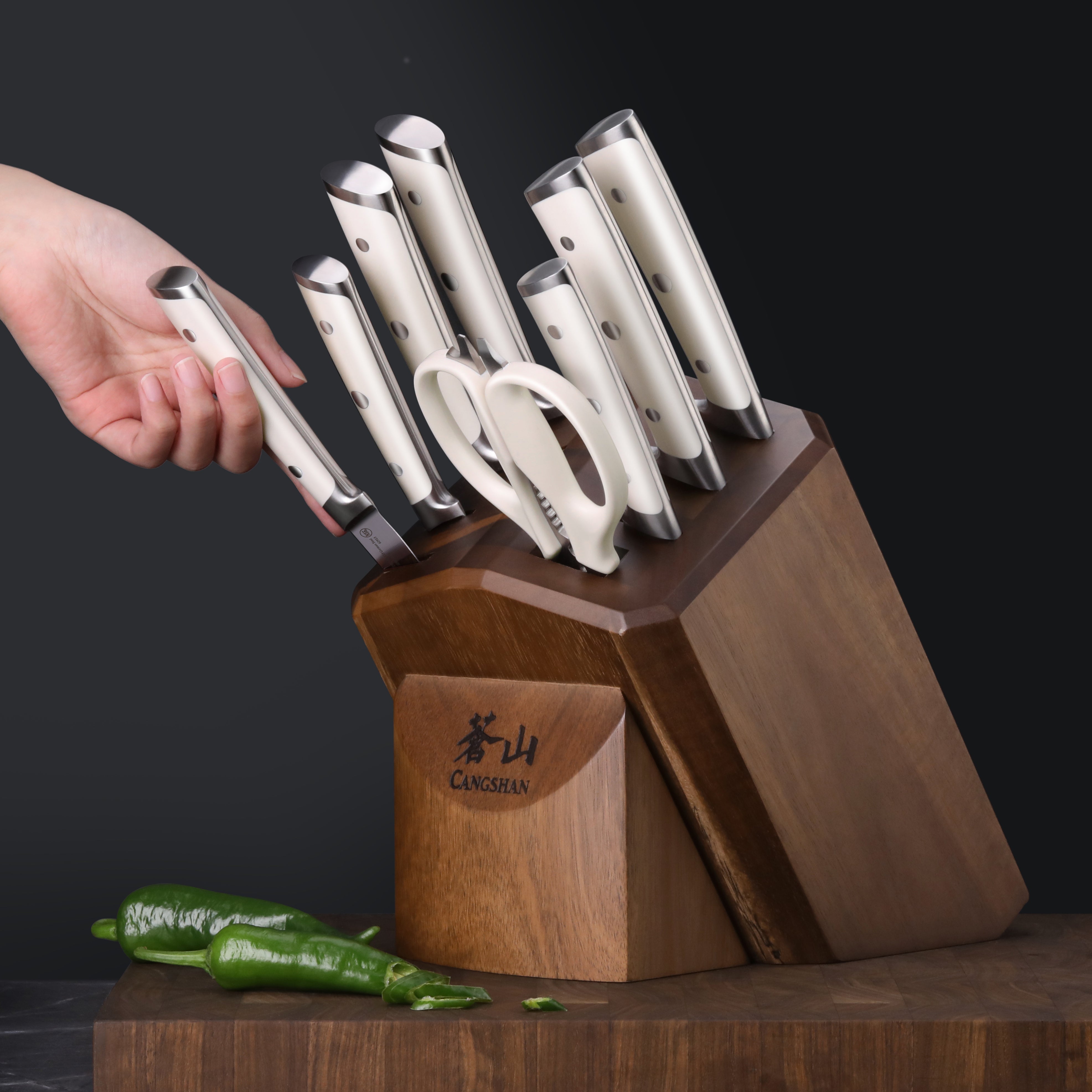 H1 Series 10-Piece Knife Block Set, Forged German Steel, Acacia Block, 1026153