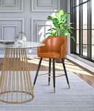 Barbosa Faux Leather Contemporary Counter/Bar Stool Set - Stylish Design with Gold Accents