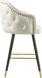 Barbosa Faux Leather Contemporary Counter/Bar Stool Set - Stylish Design with Gold Accents
