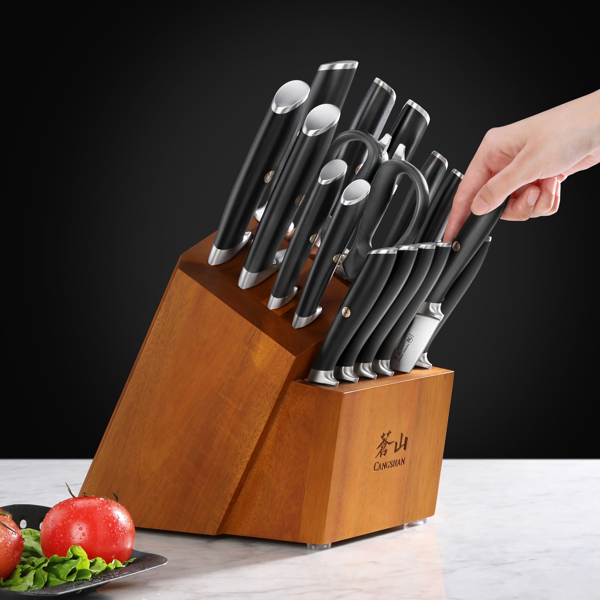 L & L1 Series 17-Piece Knife Set, Forged German Steel