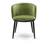 Dining Chair Filmore set of 2
Cameron light green | black finish legs