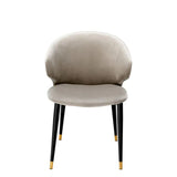 Dining Chair Volante with arm
Roche beige velvet | black & gold finish legs