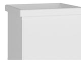 Bari Freestanding and Compact Plastic Laundry Utility Sink with Four Legs, Utility Tub for Laundry Room, Garage or Kitchen