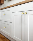 DESIGN3835 Brushed Brass Solid Cabinet Knobs – Sleek Design, Easy to Install, Built to Last